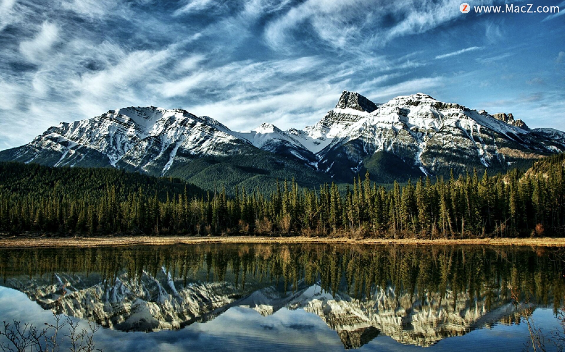 5个独特大自然lut调色预设