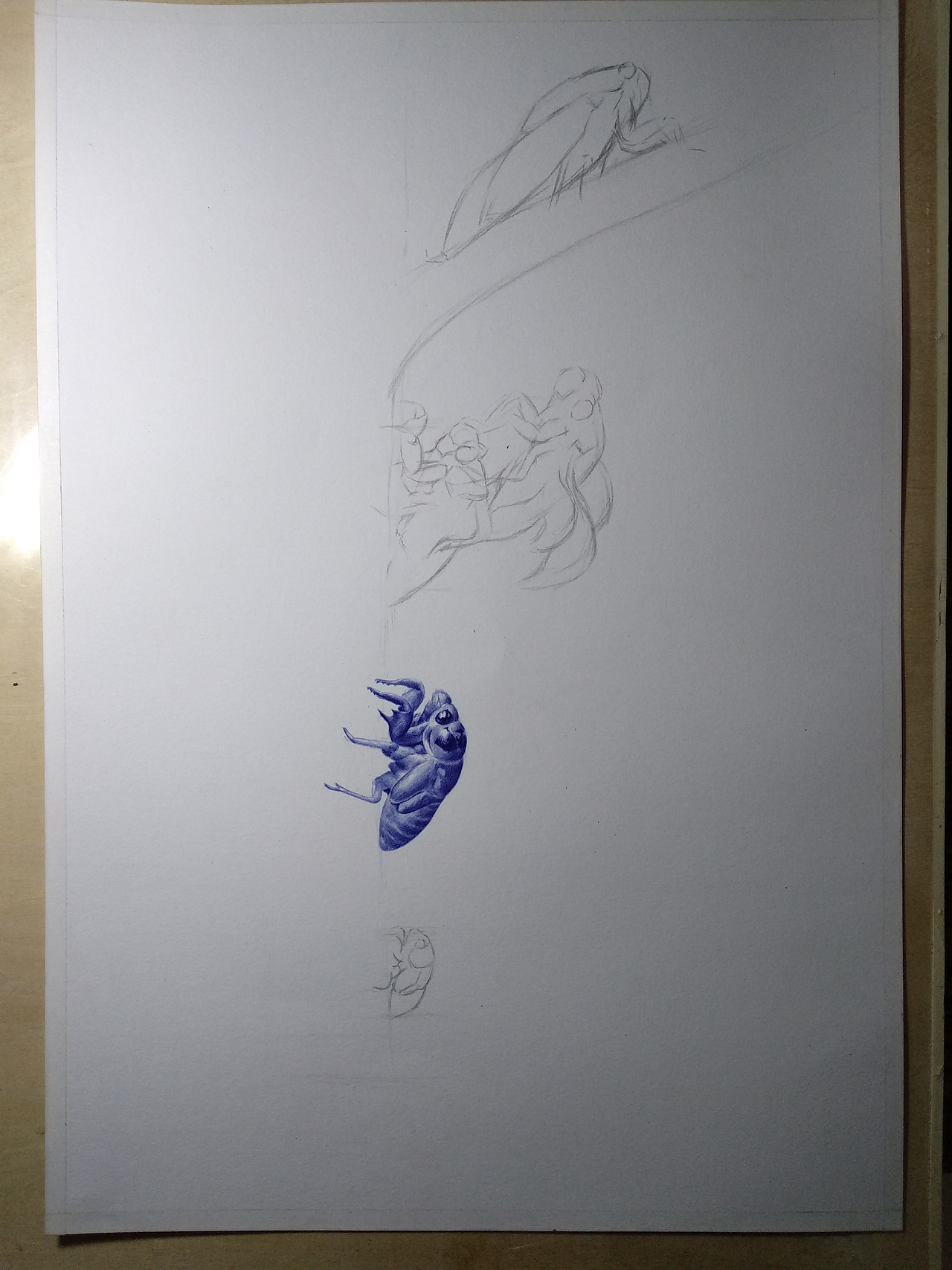 圆珠笔画——《蝉》