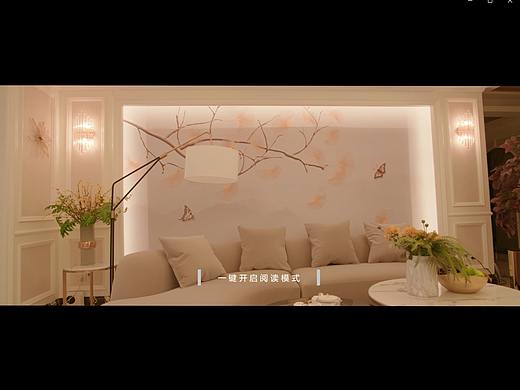 艾臣智能家居-阅读模式