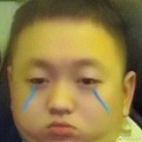 猪博士的头像