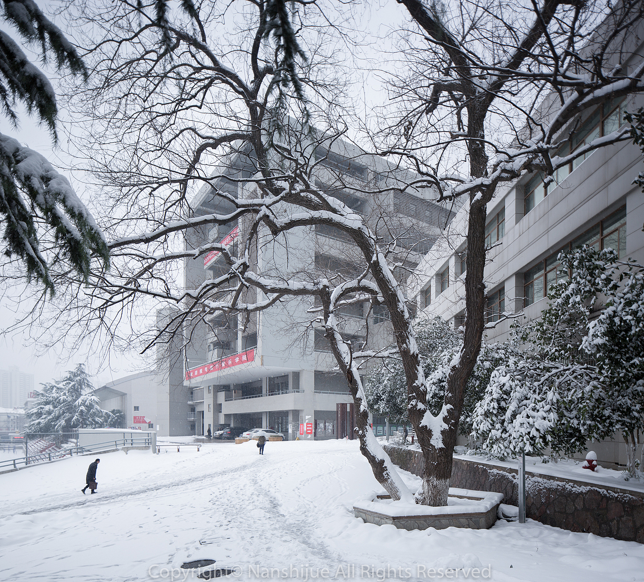 南京艺术学院冬天雪景|大学校园建筑景观摄影作品|金陵