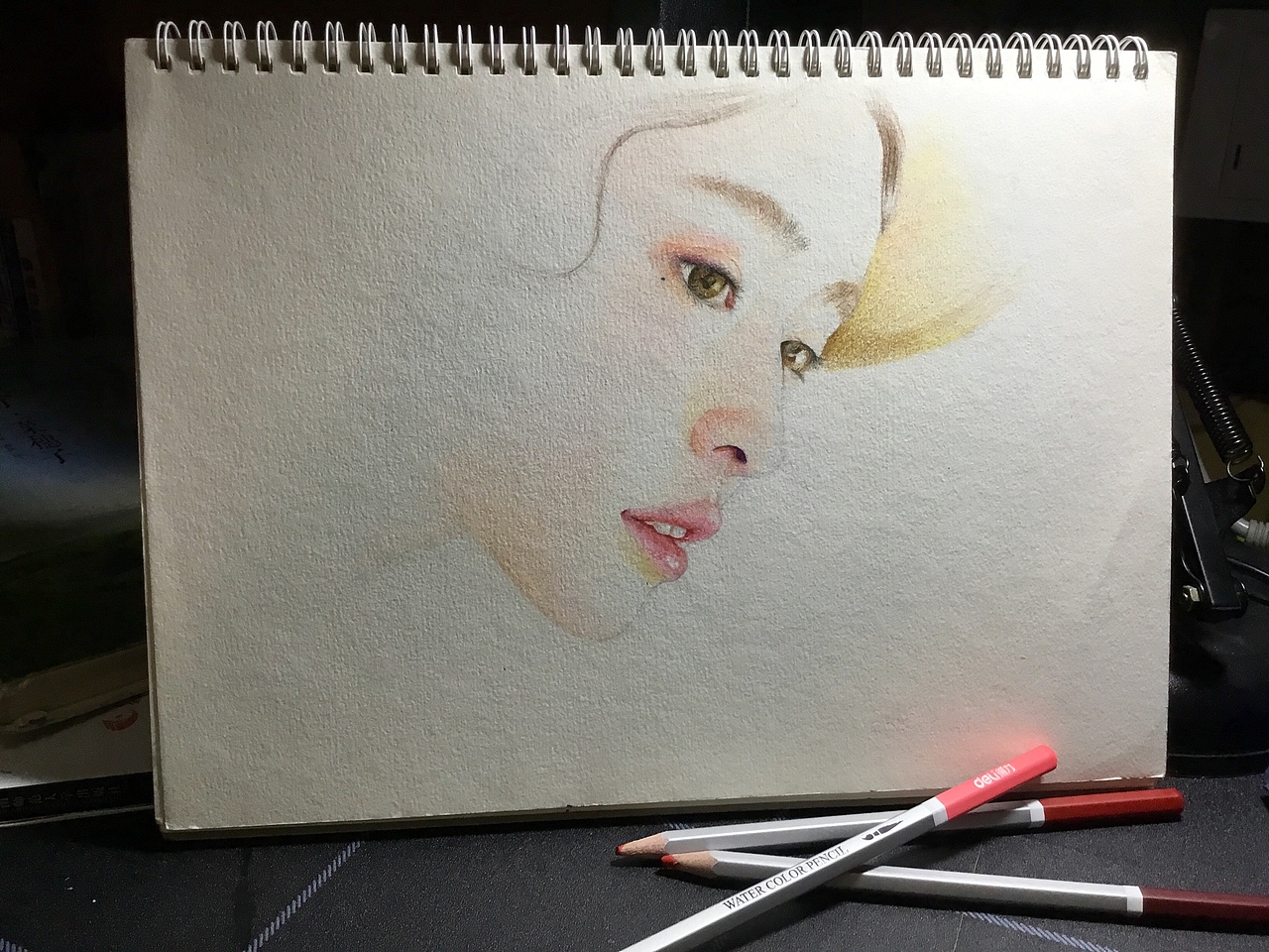 手绘系列 彩铅 素描（图ZMTY3OTk0OTQ4） - 绘画 - 站酷设计师zaigo原创素材 - 站酷ZCOOL