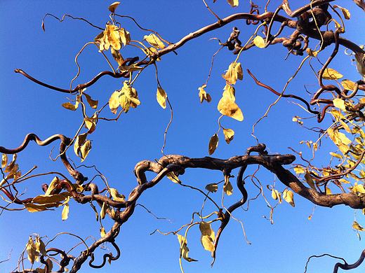 随手拍（个人主页-ZMTM3MTE3MTY=） - 环境/建筑摄影 - 站酷设计师日尧丰色原创素材 - 站酷ZCOOL