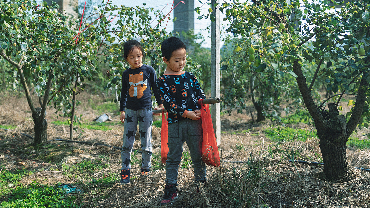冬日里的暖阳与绿意