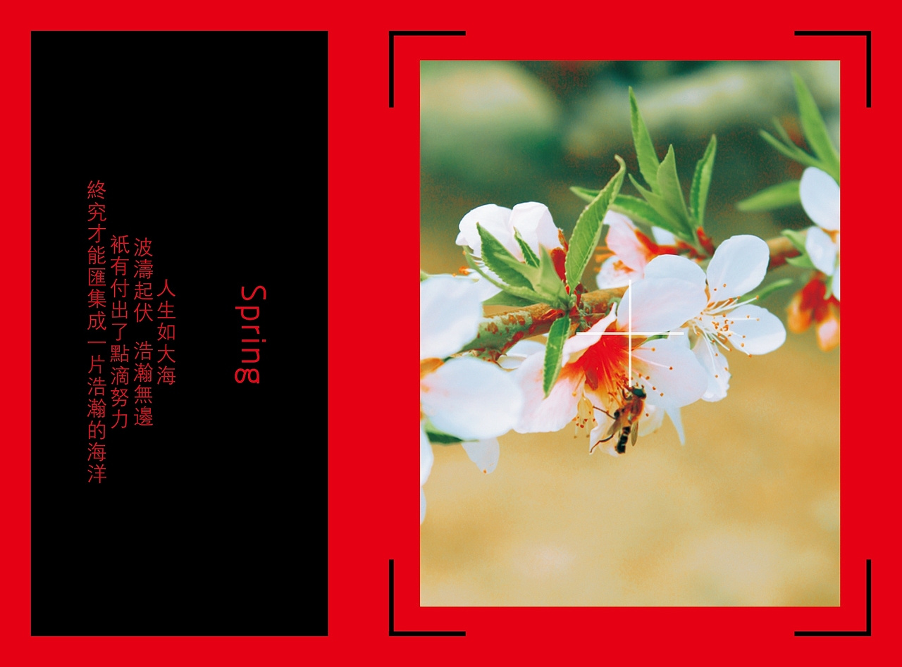 北京-花卉大观园