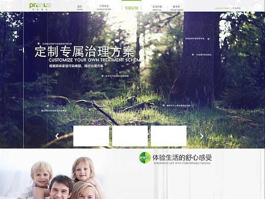 网站定制页面