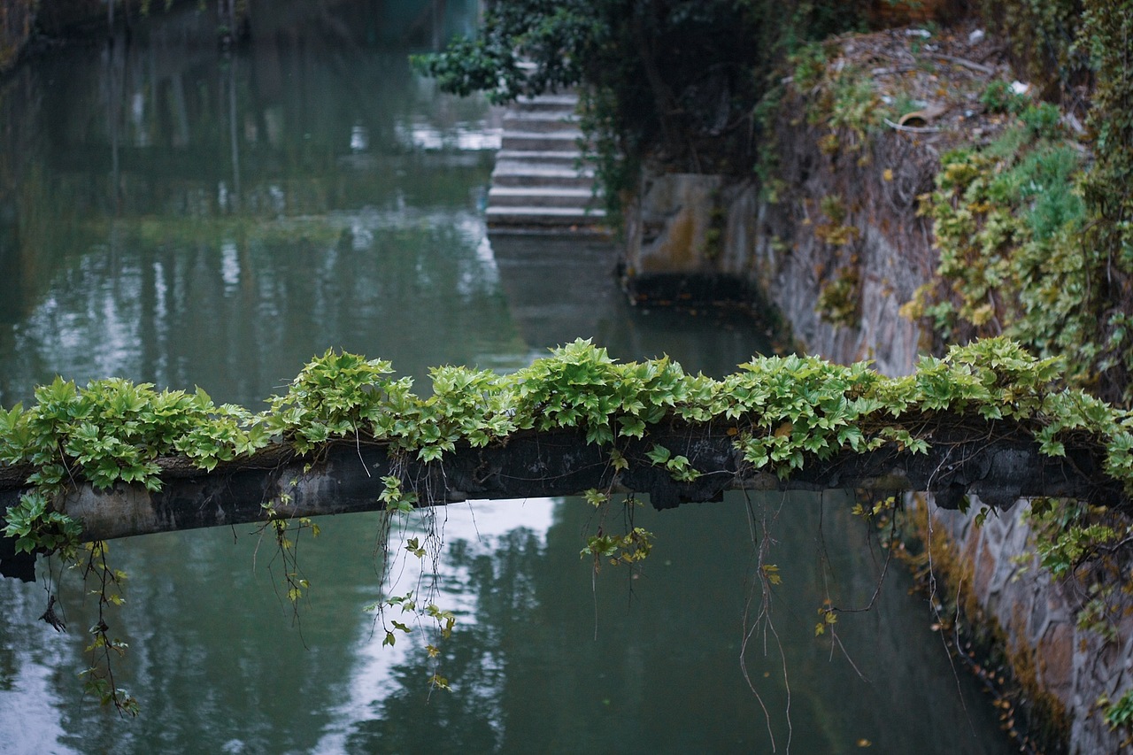 上海·新场古镇