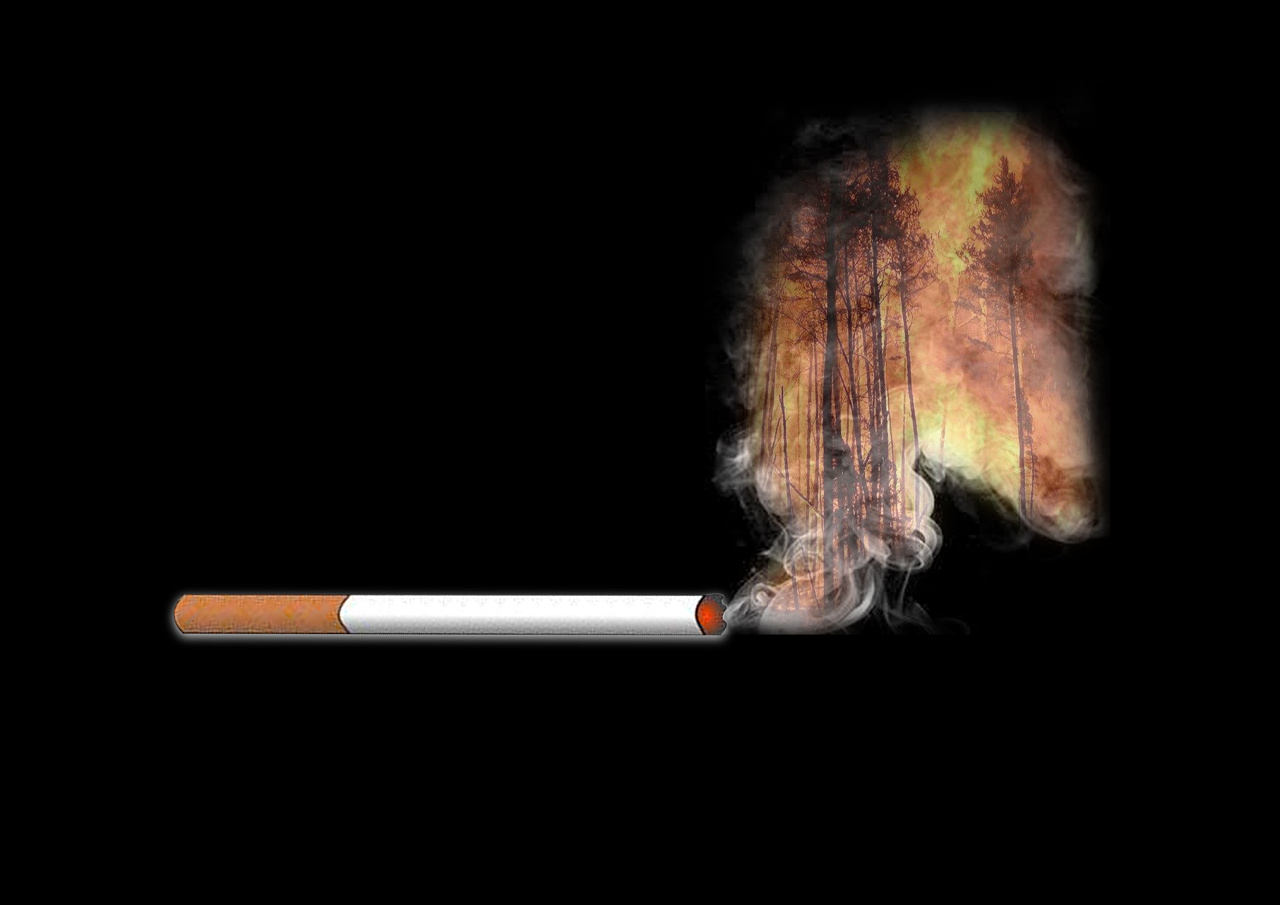 世界无烟日丨我国吸烟人数超3亿 一文说清吸烟、二手烟、电子烟的危害|吸烟|成都市_新浪新闻