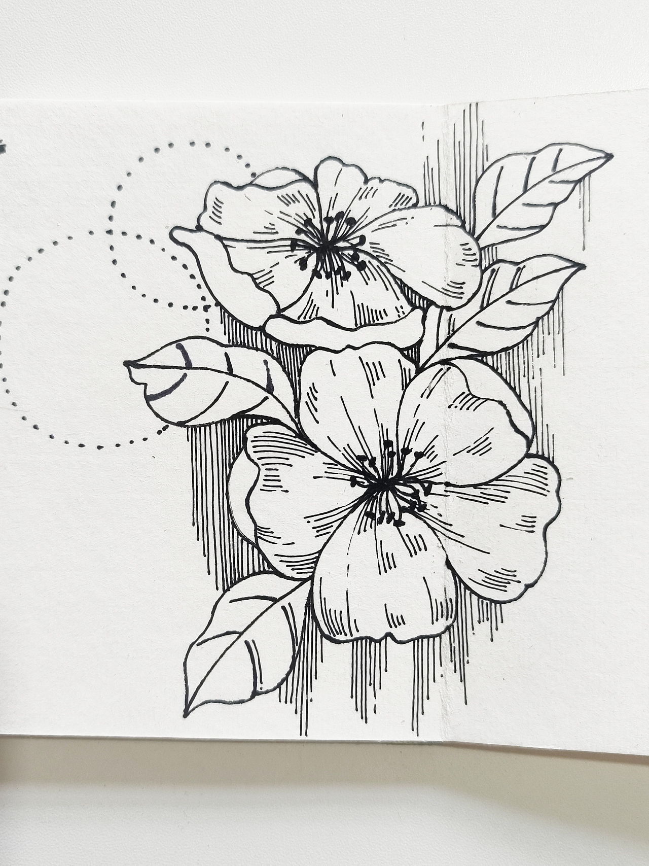 线描花卉，花园里面有什么？（图ZMzczNTM5NjM2） - 绘画 - 站酷设计师会画画的云原创素材 - 站酷ZCOOL