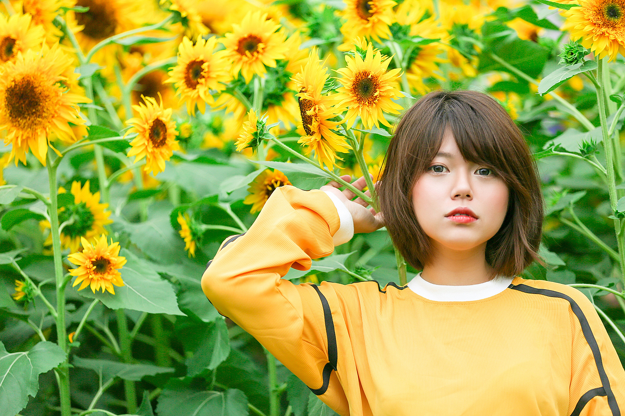 春的临终 Dying in Spring