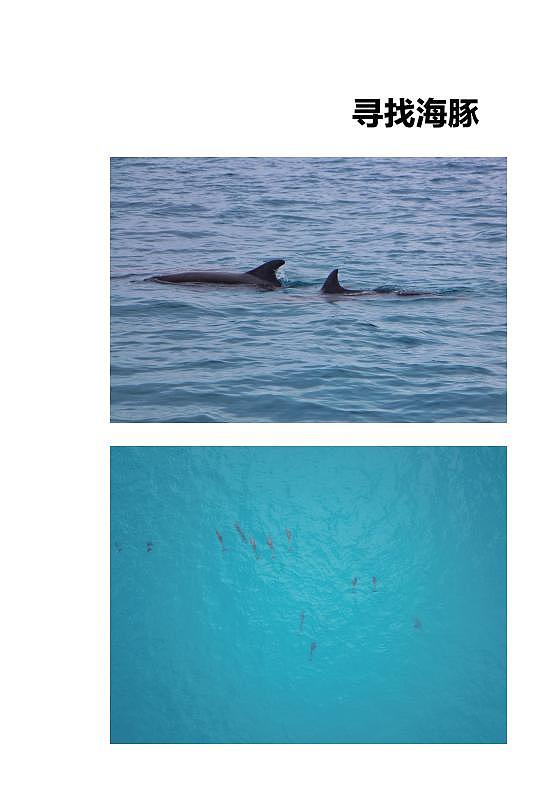 成都 | 一心旅 马尔代夫画册设计