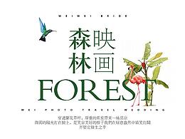 婚纱摄影样片包装设计-森林映画