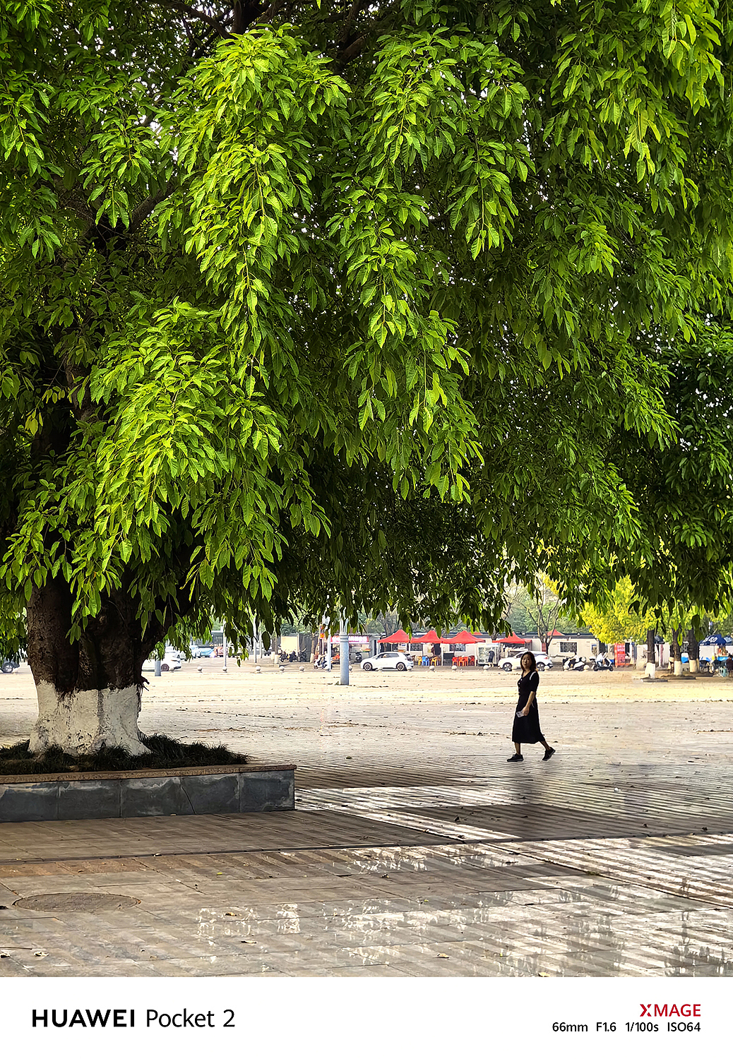 拍照不是简单地按下快门，而是与时间的静谧恋爱