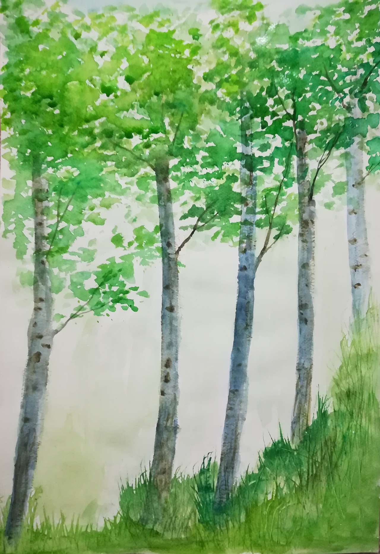 白桦树|插画|绘本|风筝魔法袋_原创作品-站酷zcool