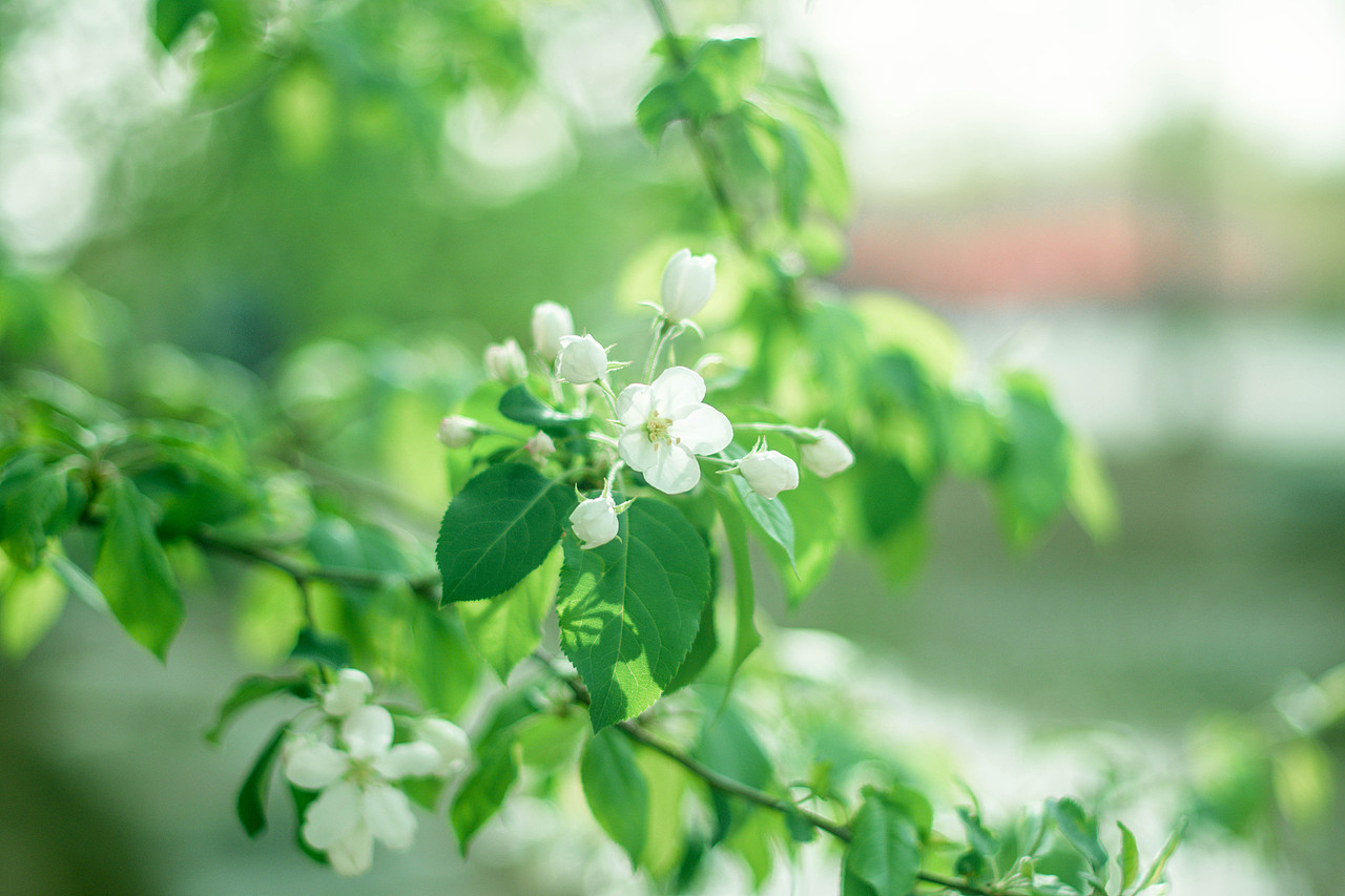 园博园游玩（图ZMTU3MDI4MTI4） - 风光摄影 - 站酷设计师小不高兴原创素材 - 站酷ZCOOL