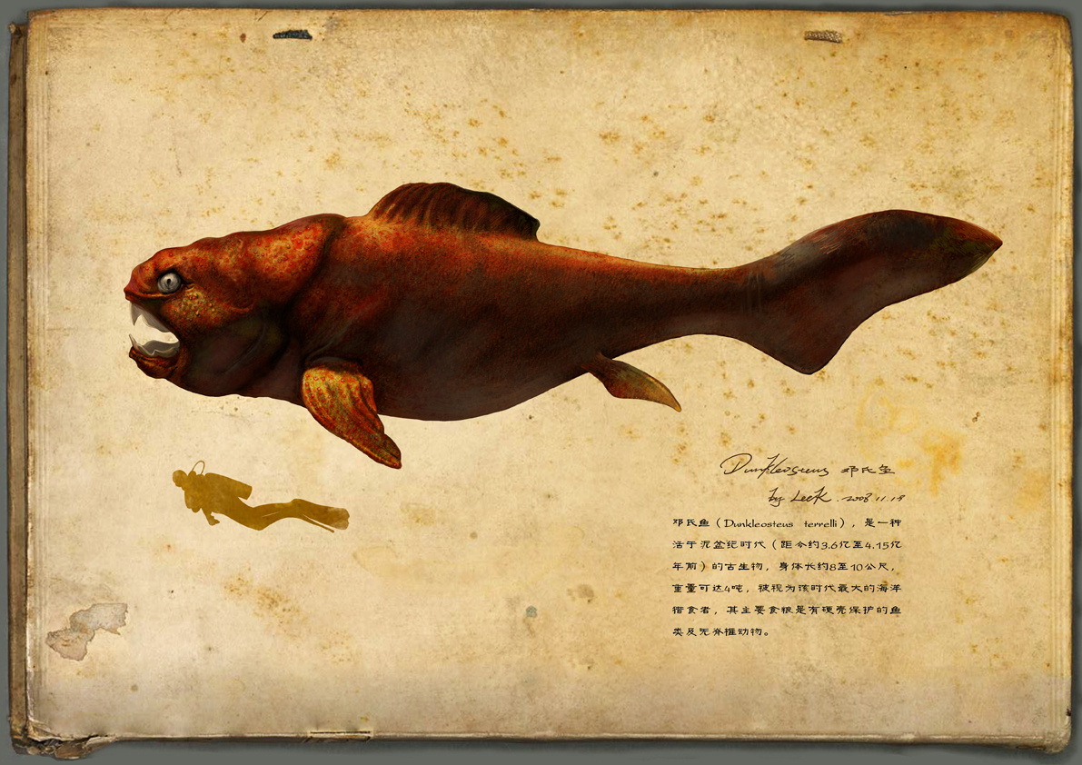 画~邓氏鱼(dunkleosteus terrelli)