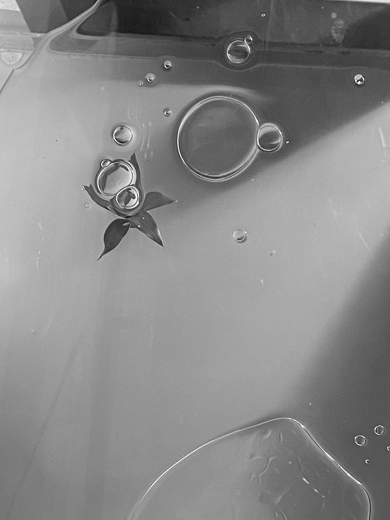 Ciracle｜稀拉克儿茶树控油洁肤乳（图ZMjgyMjM5NTAw） - 产品摄影 - 站酷设计师愚人斌原创素材 - 站酷ZCOOL