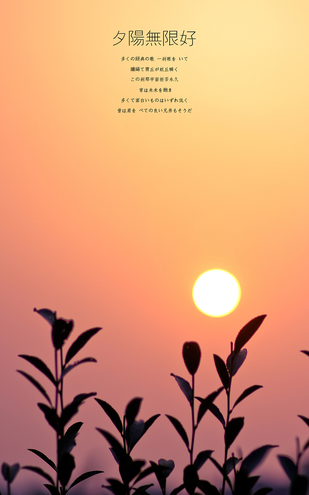 日出，日落，星空，夜。（上集）（图ZMTE3NzM1MDg=） - 风光摄影 - 站酷设计师michaelpst原创素材 - 站酷ZCOOL
