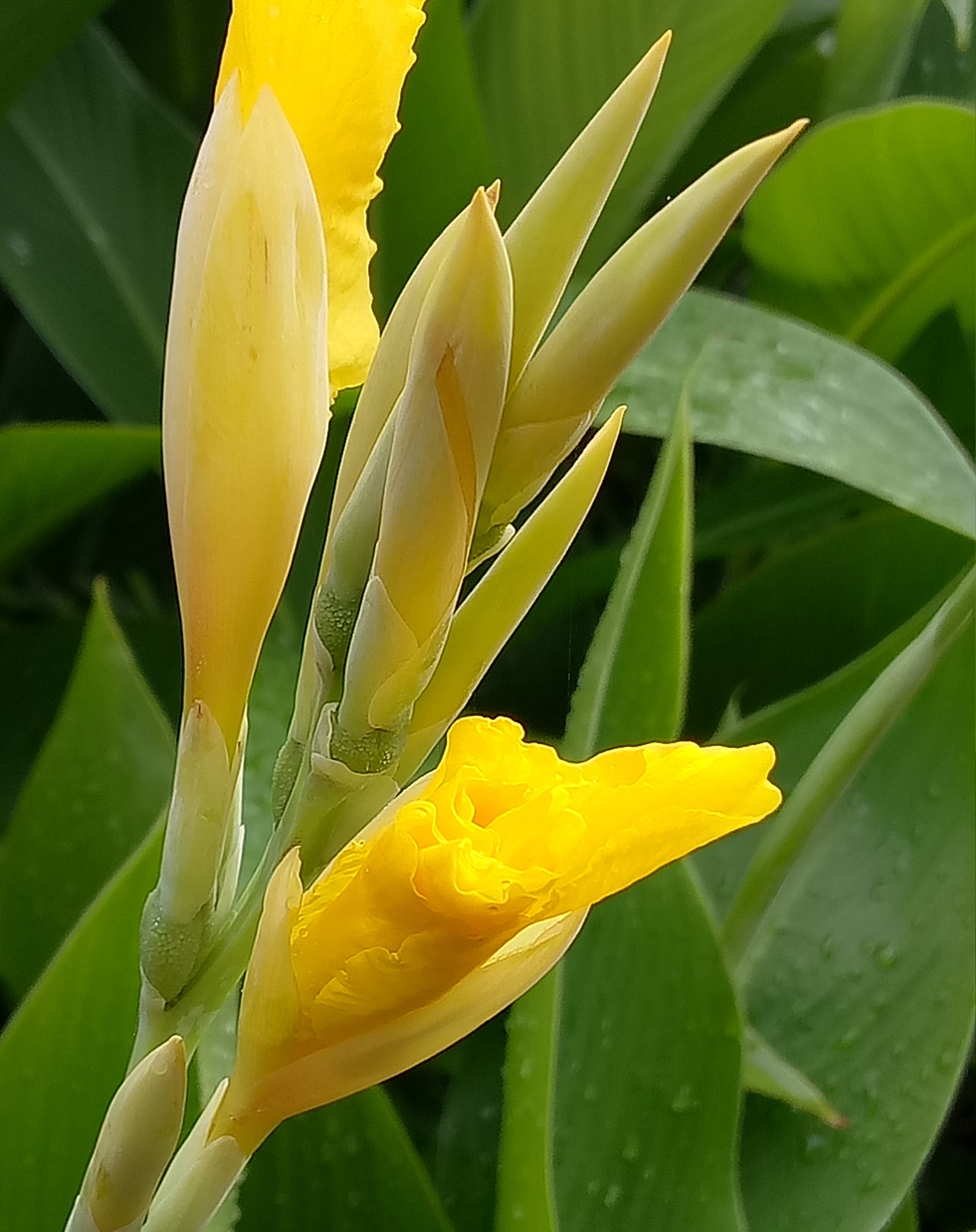 雨中的不同-它们