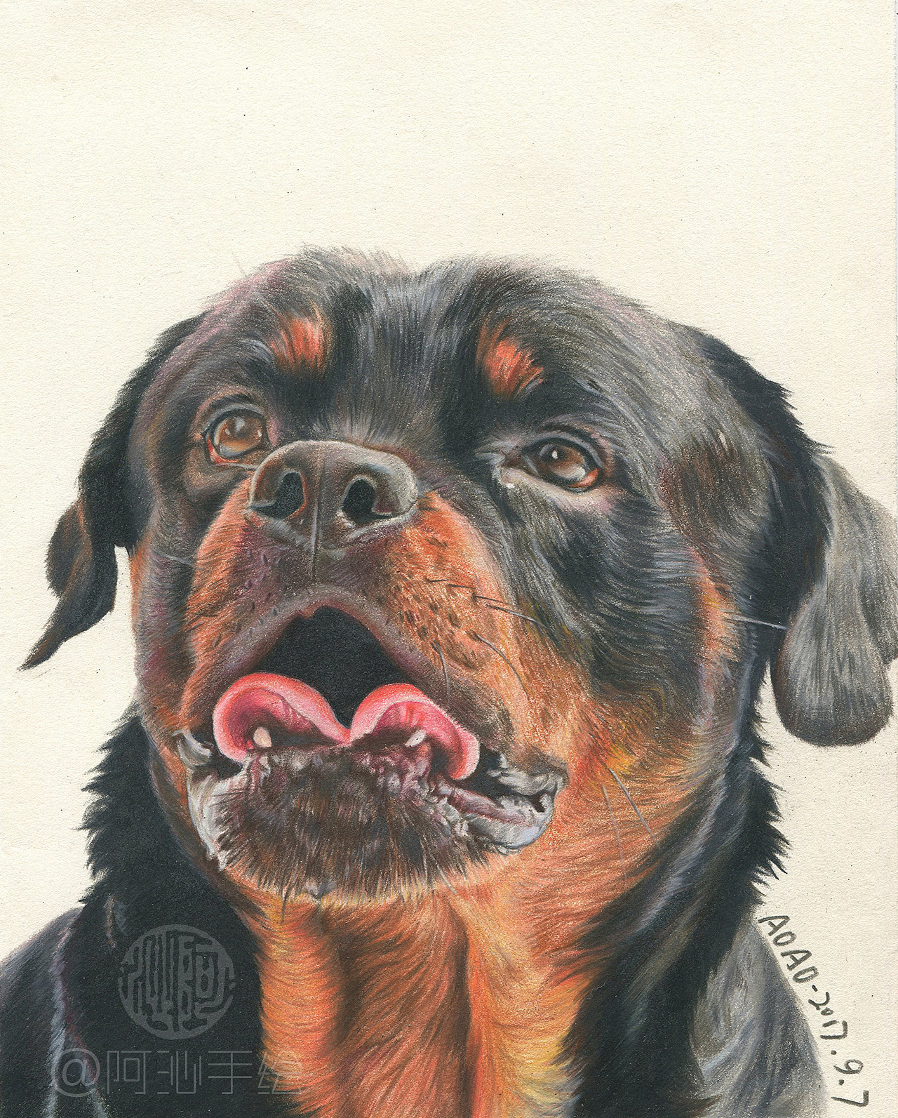 2017年萌宠彩铅画集合