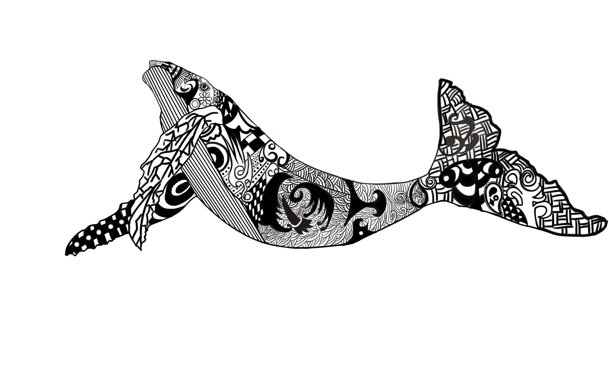 鲸鱼黑白板绘装饰插画
