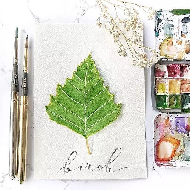 适合初学者临摹水彩素材—树叶（图ZMTY4NDc2OTA0） - 艺术插画 - 站酷设计师豚骨汤面原创素材 - 站酷ZCOOL