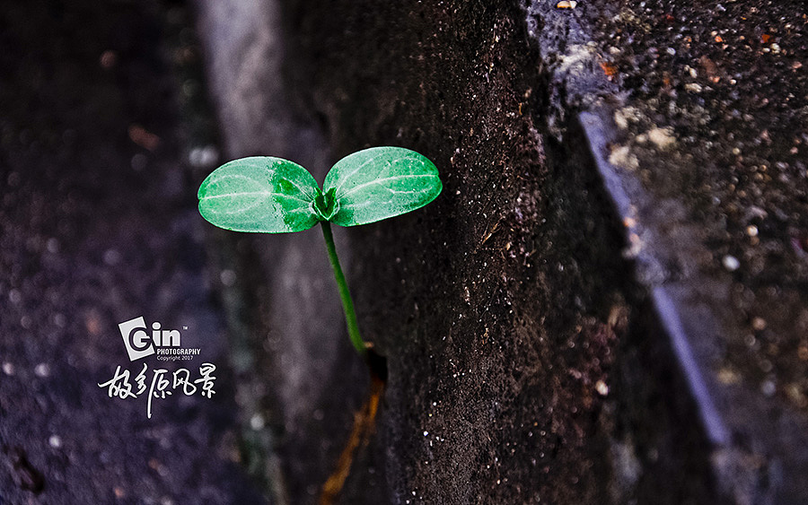 拍照 | 故乡原风景、（图ZMTAyMzUyODky） - 风光摄影 - 站酷设计师琴酒小筑原创素材 - 站酷ZCOOL