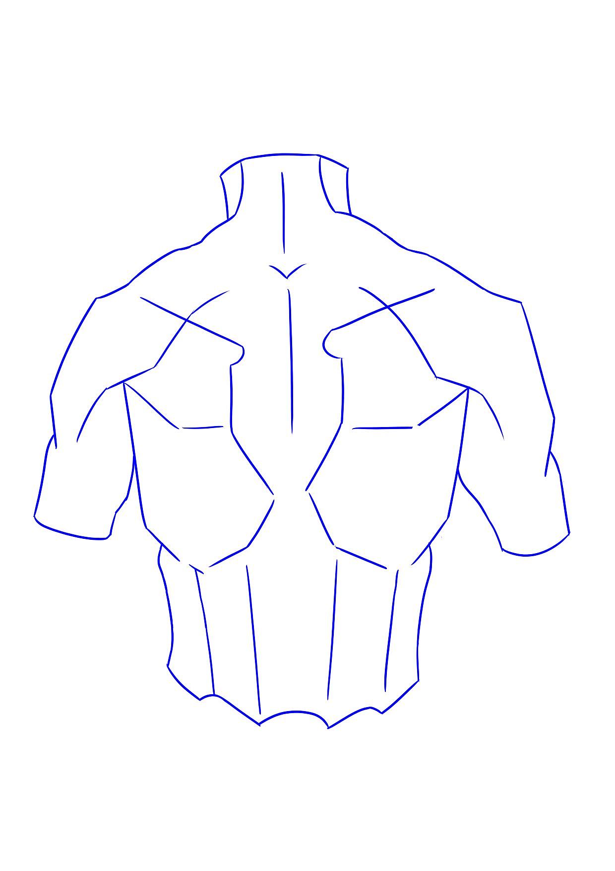 人体练习打卡22—24