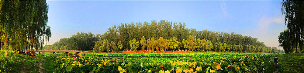 刘勇良摄影作品:河畔的风景