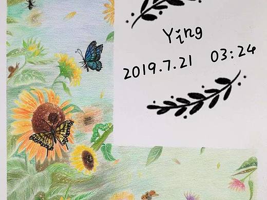 阳光下的向日葵🌻