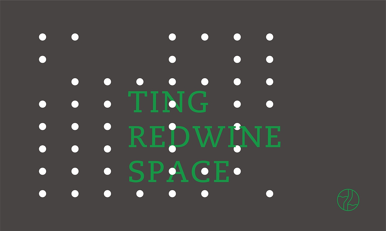 TING REDWINE SPACE 初案