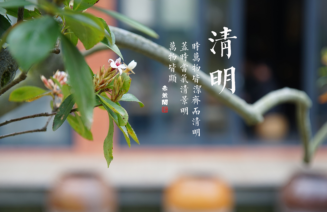 清明节（图ZNzU2MTQyNjA=） - 产品摄影 - 站酷设计师二十九画清溪生原创素材 - 站酷ZCOOL