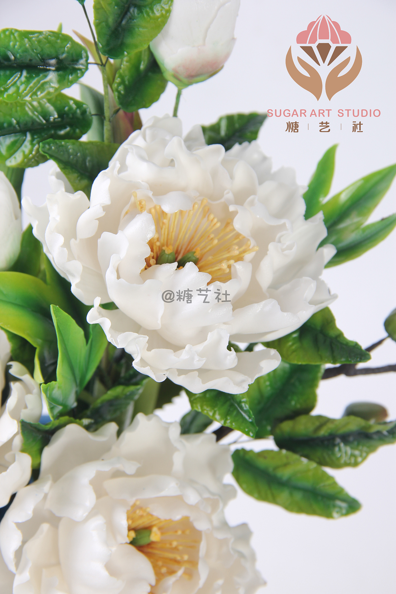 翻糖工艺大师顾碧清老师翻糖花作品--牡丹花