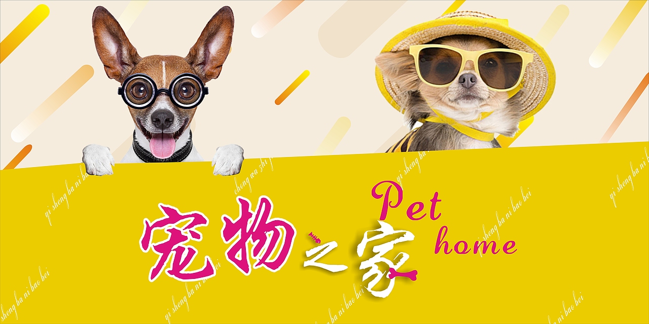 宠物之家