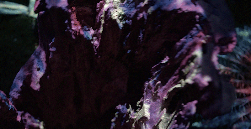 幻境之间（图ZMjY0NjA3ODU2） - 景观设计 - 站酷设计师LightHouseLAB原创素材 - 站酷ZCOOL