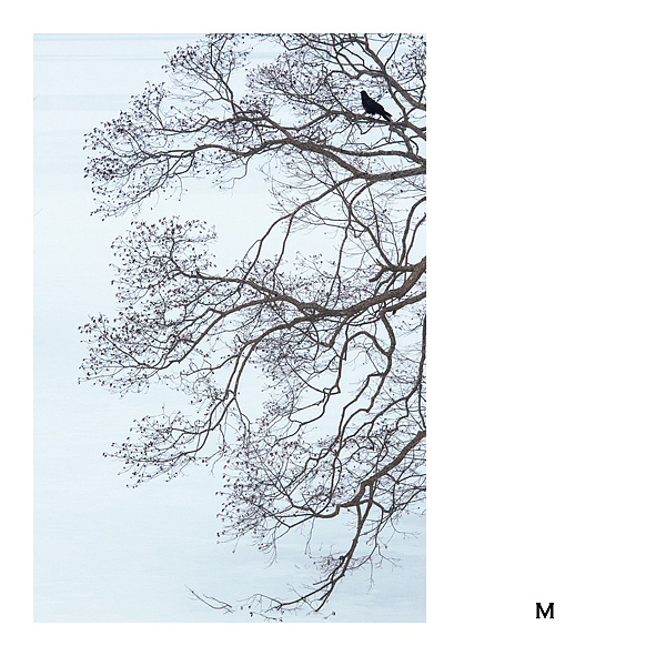 [Details] -只字片语-（图ZMjc3NzM2NTQ4） - 风光摄影 - 站酷设计师晆时_micheal原创素材 - 站酷ZCOOL