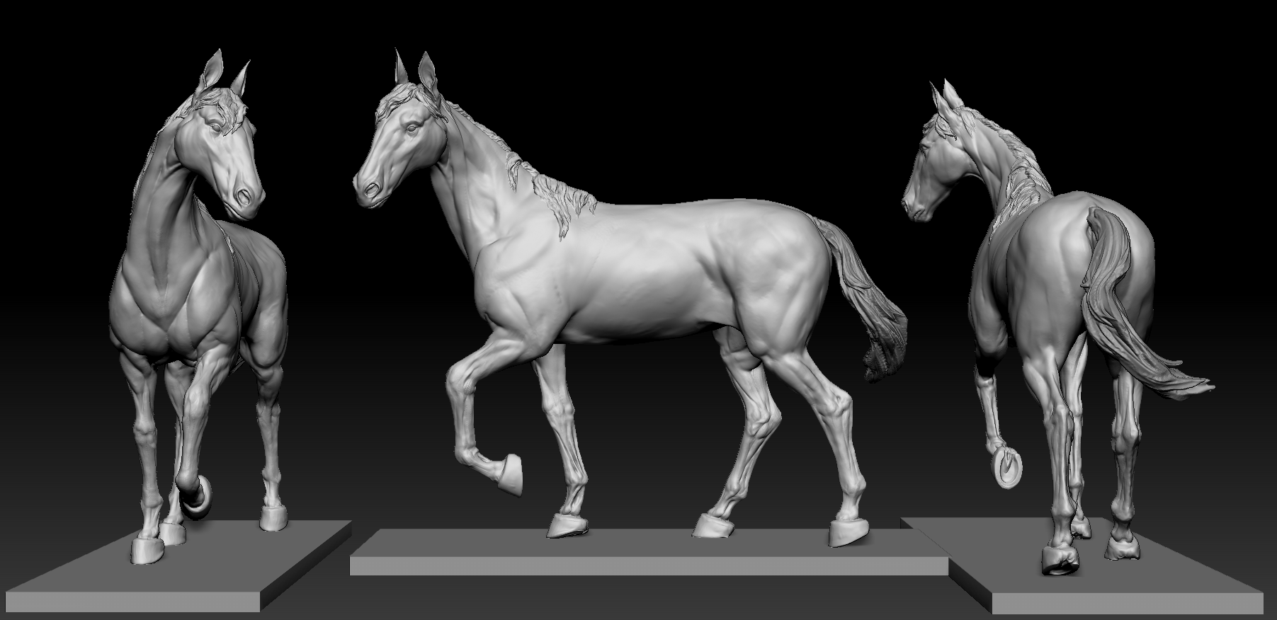 马,练习|三维|人物/生物|hhuhuihuidhuidoh - 原创作品 - 站酷 (zcool