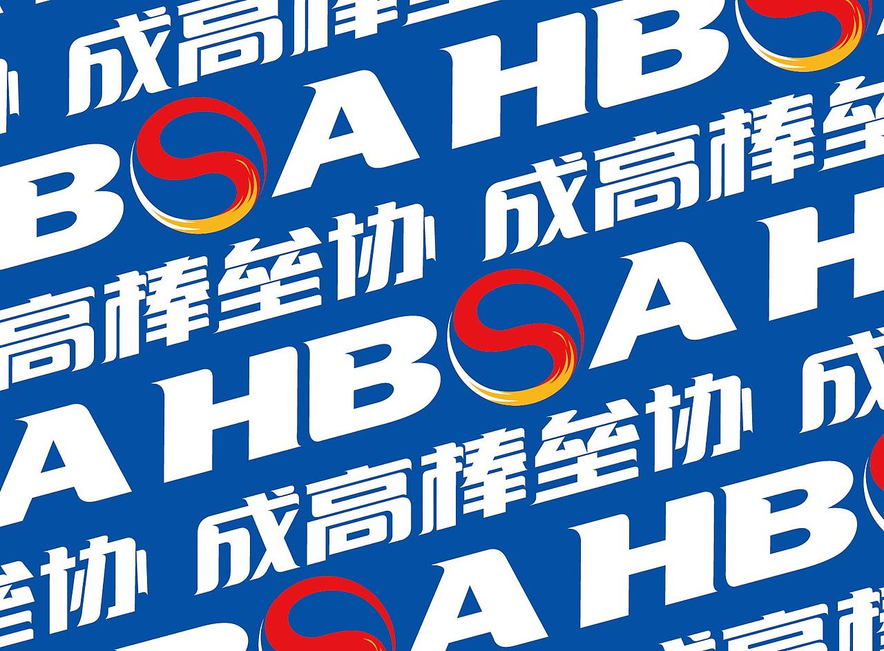 成都市高新区棒垒球协会VI