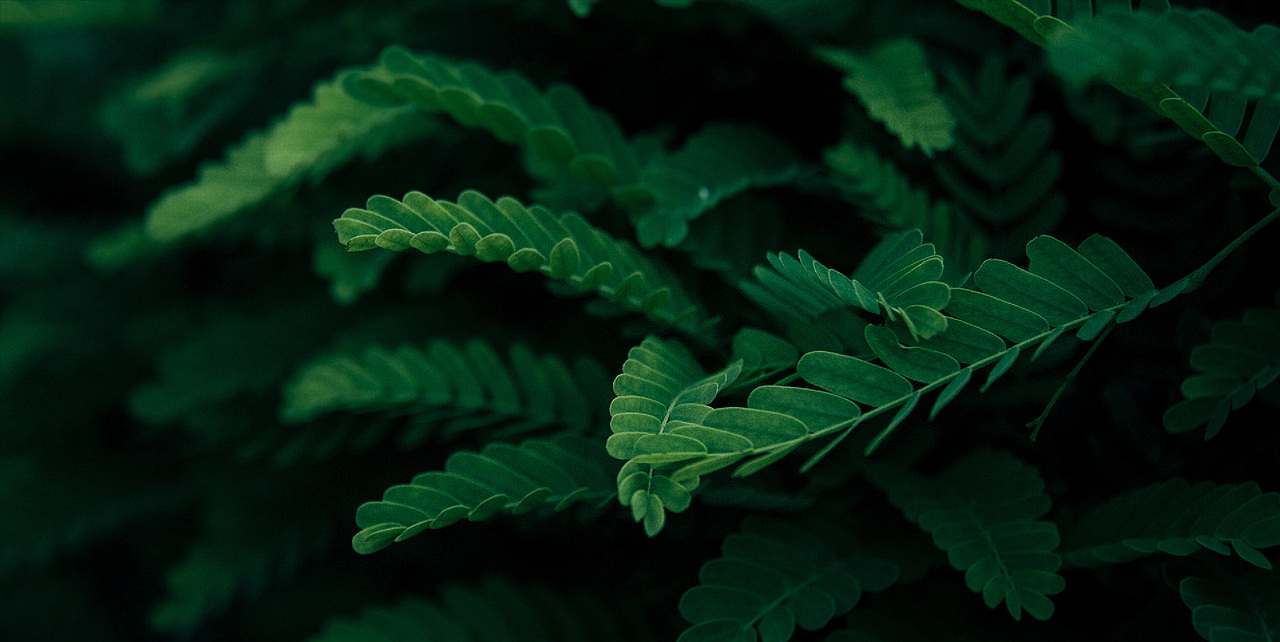 广告、文化、设计服务（图ZMjI4NTQyOTky） - 企业官网 - 站酷设计师mobanzhongxin原创素材 - 站酷ZCOOL