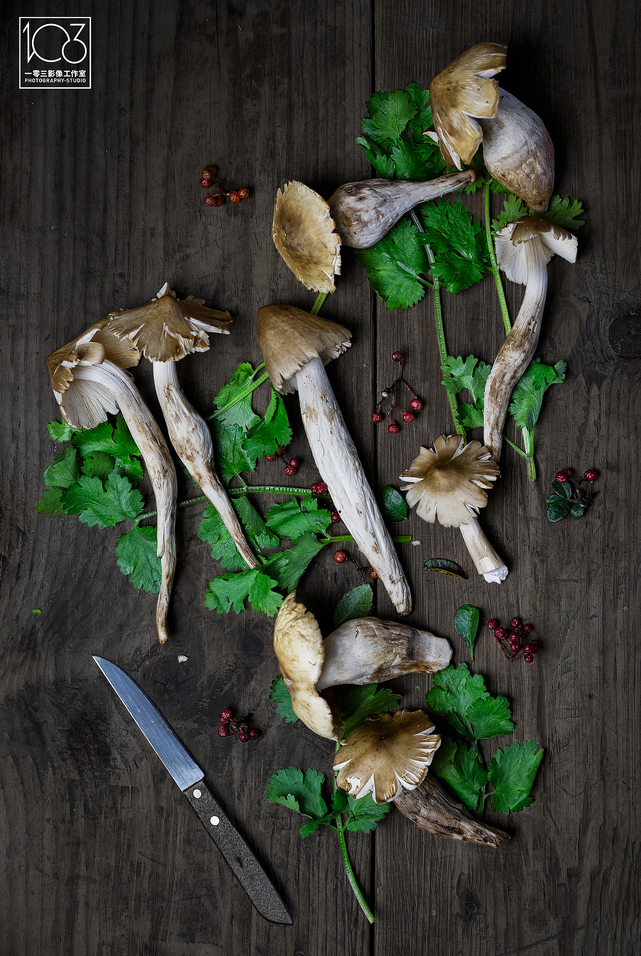 「鸡纵菌」舌尖上的山野美馔 大自然赐予的美味珍馐