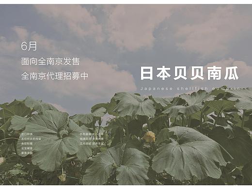 农业画册