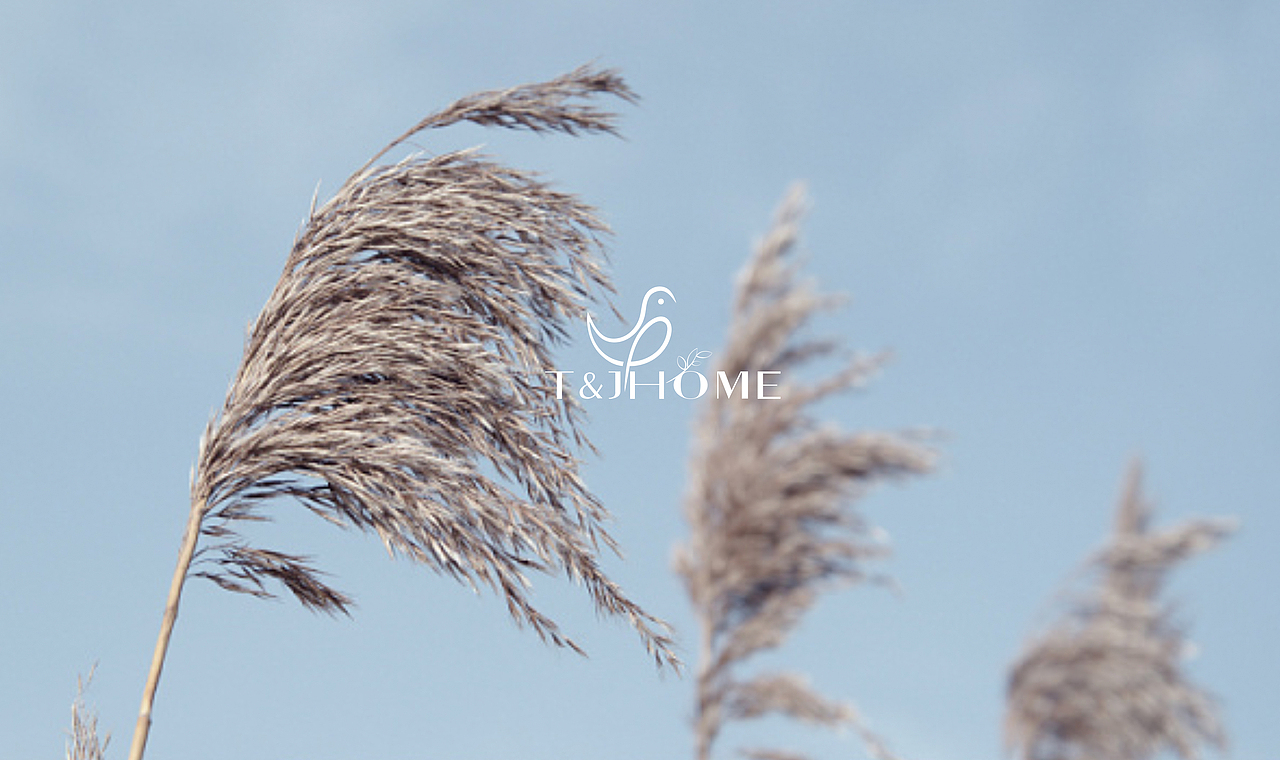 園丁鳥（田佳禾軟裝設(shè)計品牌設(shè)計初稿）（圖ZMjAzNzY4MDY4） - 品牌 - 站酷設(shè)計師之乎品牌設(shè)計原創(chuàng)素材 - 站酷ZCOOL