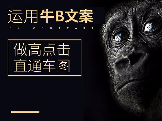 直通车 