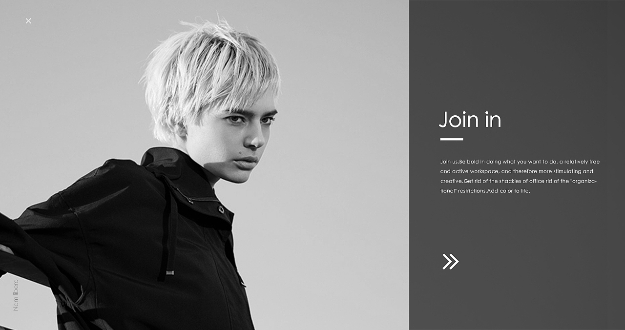 Nam libero - Web Design