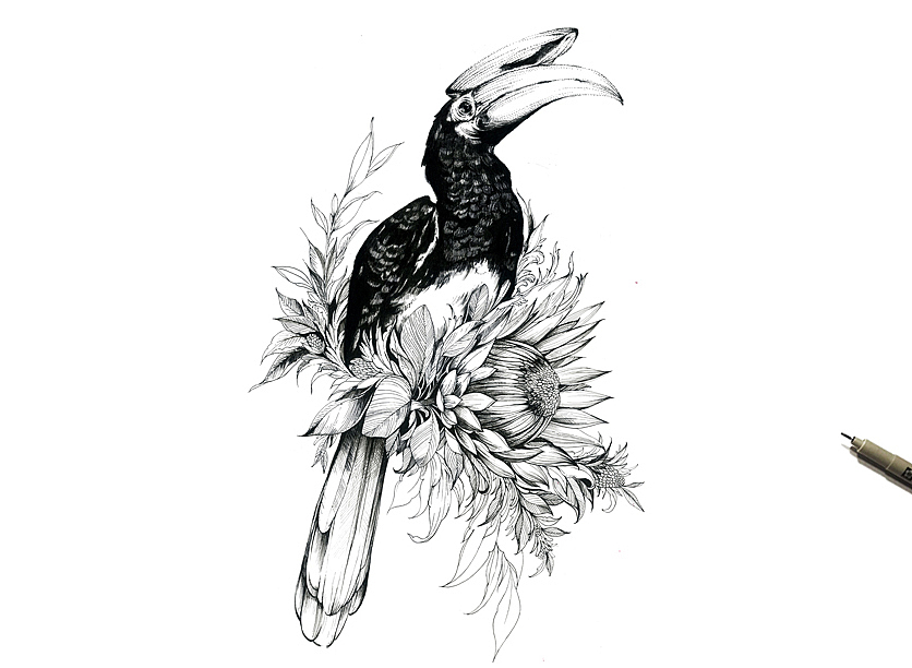 针管笔手绘 热带的大嘴鸟（图ZMTUyNTE2MTY4） - 商业插画 - 站酷设计师染九木LH原创素材 - 站酷ZCOOL