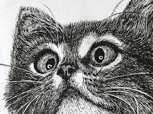钢笔画-《猫趣》OY团练 第二期（个人主页-ZNDA1MzgyMDg=） - 创作习作 - 站酷设计师Debbie夏原创素材 - 站酷ZCOOL
