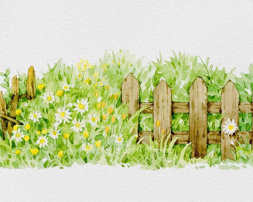 花园小路|插画|商业插画|玉米呀yumia_原创作品-站酷zcool