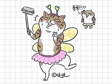 欢脱市井猫