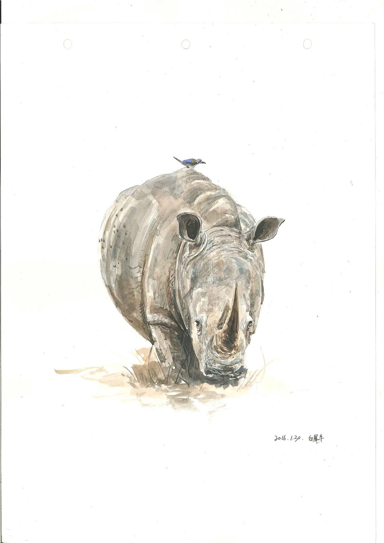 插画（图ZODYzOTI2Njg=） - 创作习作 - 站酷设计师姚翔翔原创素材 - 站酷ZCOOL