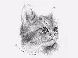 [meow]一只喵。